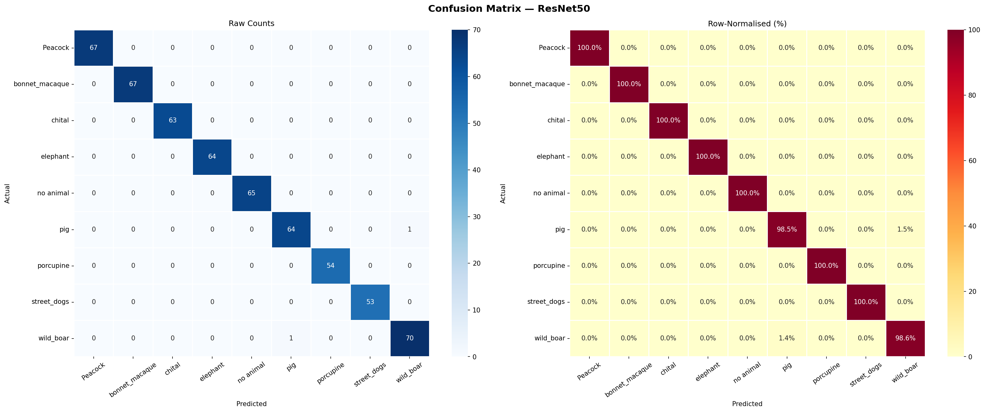 ResNet-50 Confusion Matrix